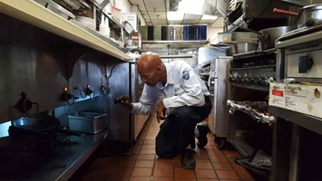 Pest Control for Restaurants - Pestipedia
